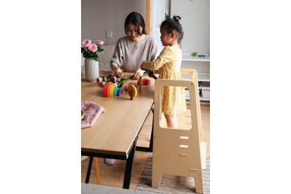 [PRE ORDER] Learning Tower (with Double-sided Slide-Small)