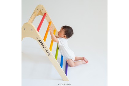 [PRE ORDER] Avdar Gym Triangle Climber (without Double-sided Slide)