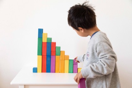 Avdar Counting Blocks