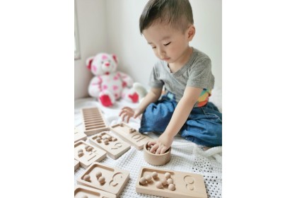Montessori Wooden Number Tracing & Counting Boards