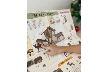 Christmas Gift Set-Red Riding Hood