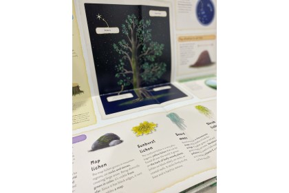 Christmas Gift Set-Hansel & Gretel