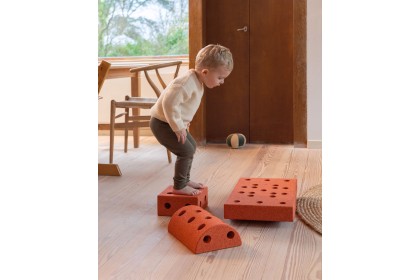 *NEW* Modu Toy-Curiosity Kit 